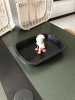 Hurricanes in the Classroom