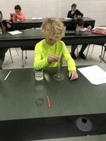 Skittles Weathering and Erosion Lab